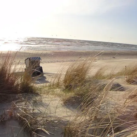 5 Sterne Luxusdomizil Im Duenenland Karlshagen