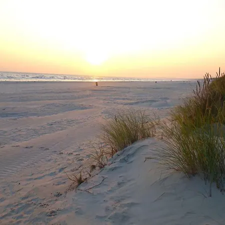 Tatil Evi 5 Sterne Luxusdomizil Im Duenenland Karlshagen